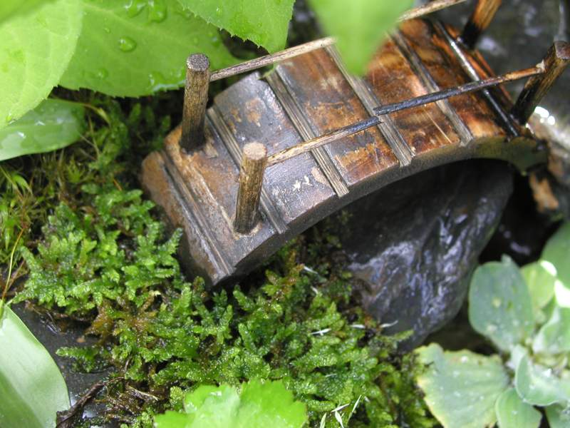 モロッコインゲンのソテー